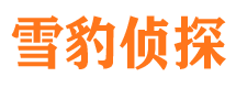 乡城外遇调查取证